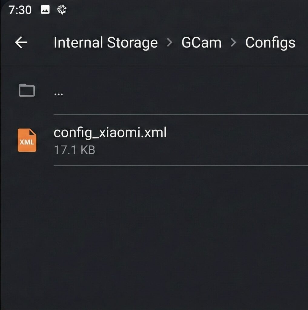 Pasta onde você deve copiar os arquivos XML baixados