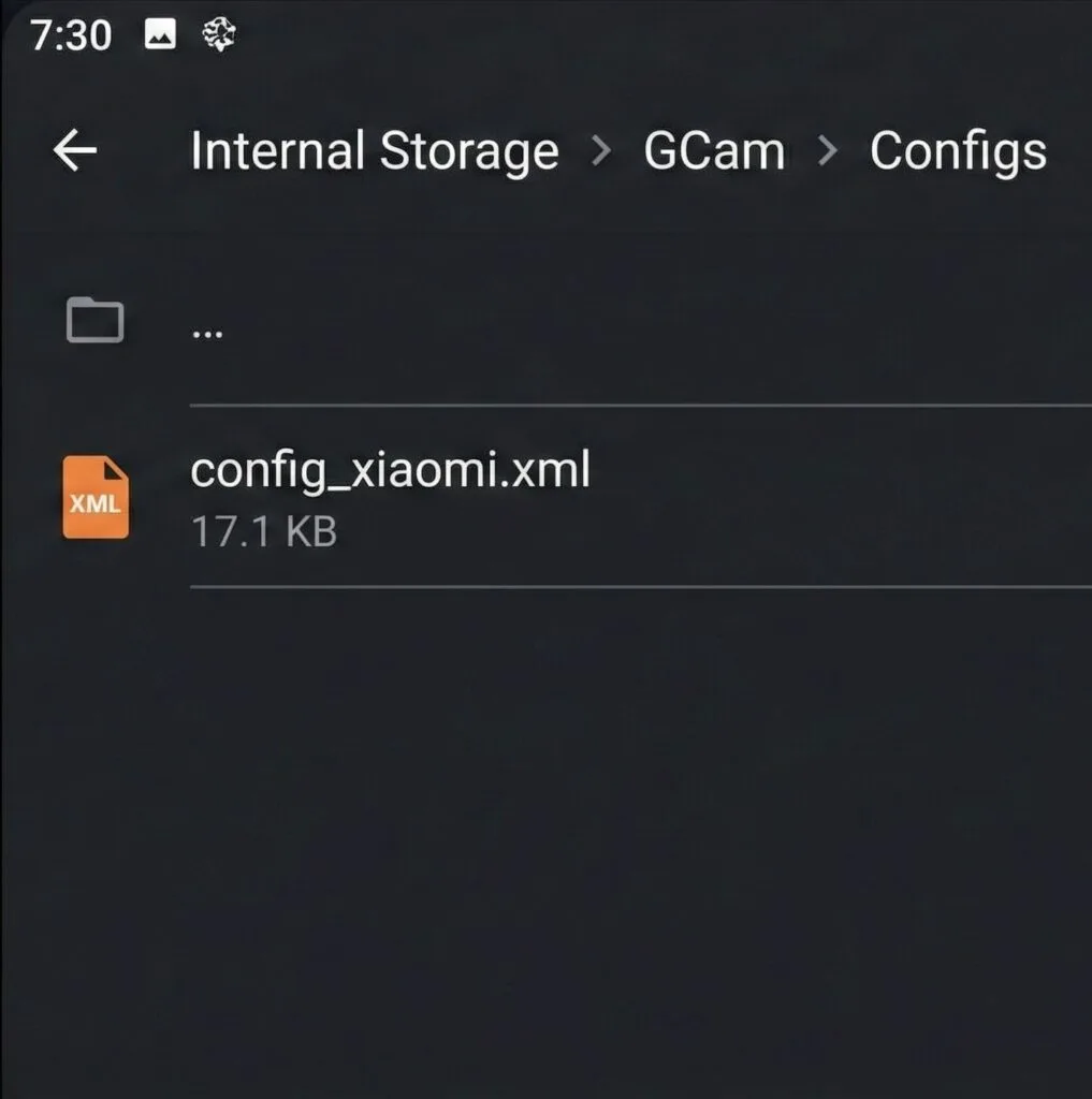 Pasta onde você deve copiar os arquivos XML baixados