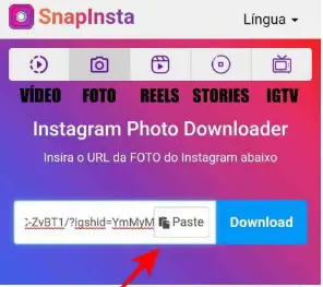 Como baixar vídeos do Instagram